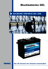 Blockbatterie Triforce GEL G05